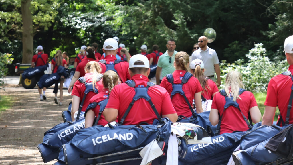 Group of people in red shirts with blue Iceland bags walking along a shaded forest trail.